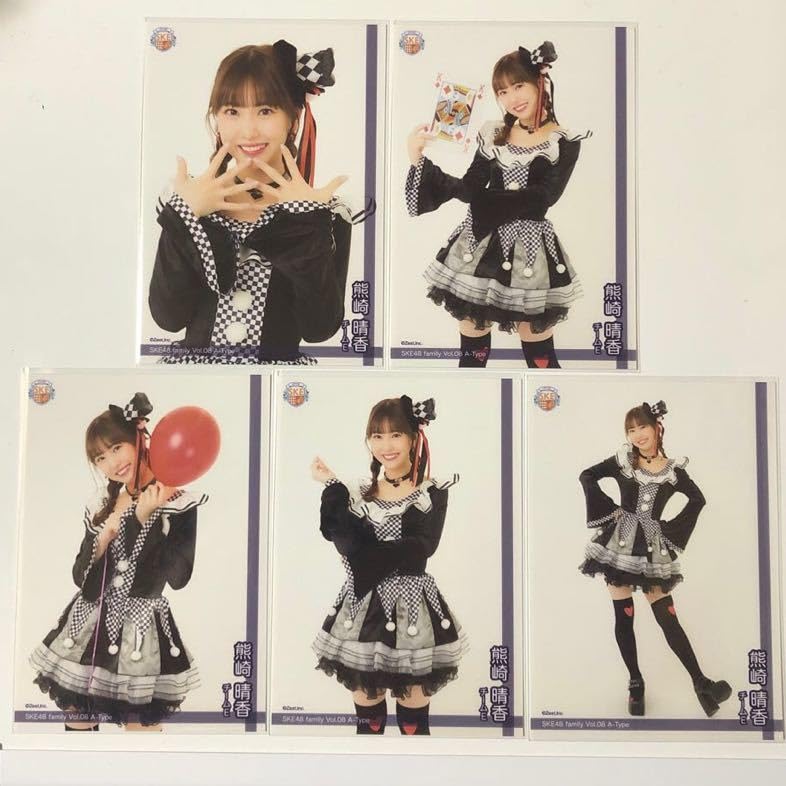 SKE48 2017 4月 月別 ランダム 生写真 3種コンプ 検)総選挙 SKE48 2017 4月 月別 ランダム 生写真 3種コンプ 検)総選挙