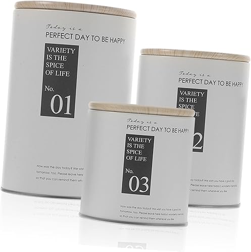 Juego de 3 recipientes sellados de hierro, tarros de almacenamiento decorativos para té, café y frutas secas, recipientes de metal herméticos para