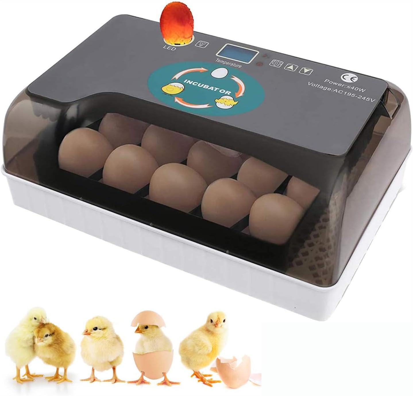 Automatic Egg Incubator, 12 Egg Incubator Digital Hatcher with Egg Turning, Chicken Eggs Incubator for Hatching Chickens, Ducks, Geese, Quails, and Birds