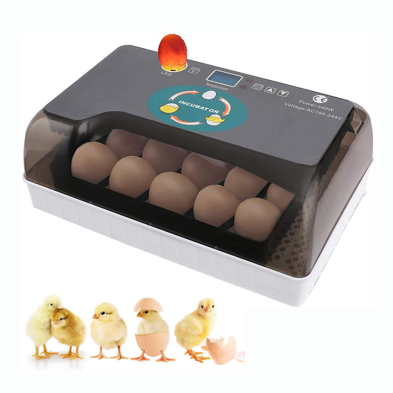 DISHENGZHEN Automatic Egg Incubator, 12 Egg Incubator Digital Hatcher with Egg Turning, Chicken Eggs Incubator for Hatching Chickens, Ducks, Geese, Quails, and Birds