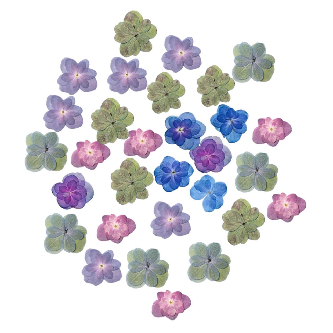 MAGICLULU 2 Ensembles Fleurs Séchées pour La Résine Mariage Décor Bouquet De Fleurs Séchées Pressé Sec Petites Fleurs pour La Résine 30 Pièces * 2