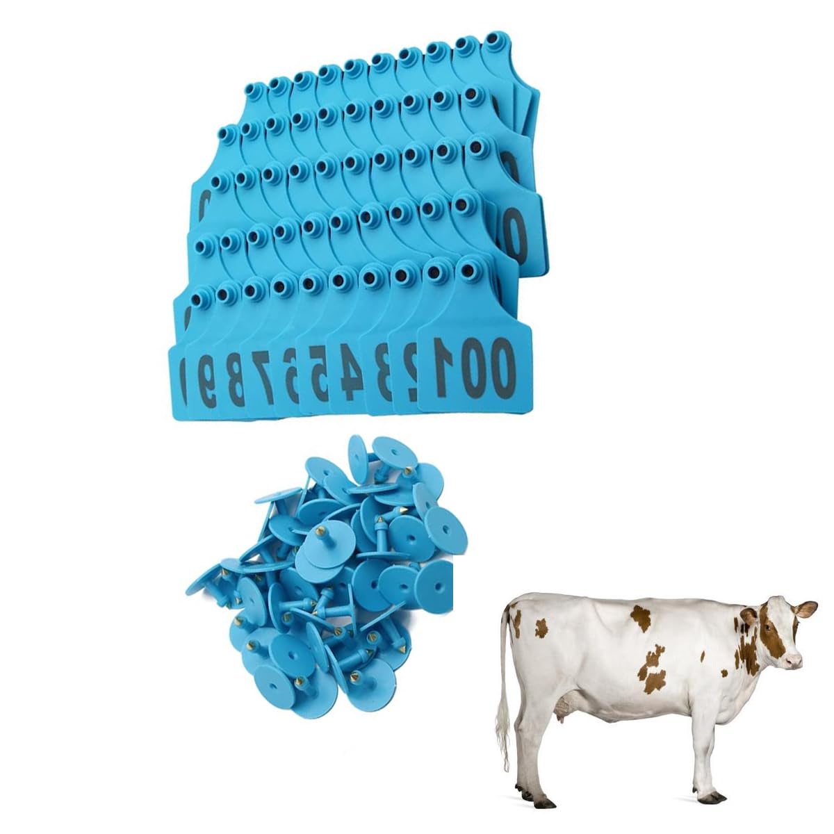 Plastikowe nauszniki dla bydła, plastikowe etykiety do uszu dla zwierząt gospodarskich z numerami 001-500, opakowanie 100, wielokolorowe, 7,5 x 6 cm (niebieski, 101-200)