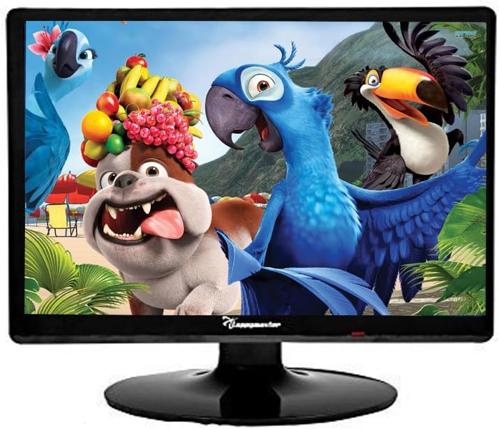 38.1CM (15) LCD Monitor (Black)
