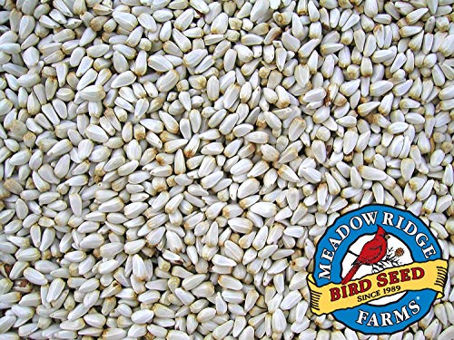 Meadow Ridge Farms Safflower Bird Seed, 20-Pound Bag #TOP2