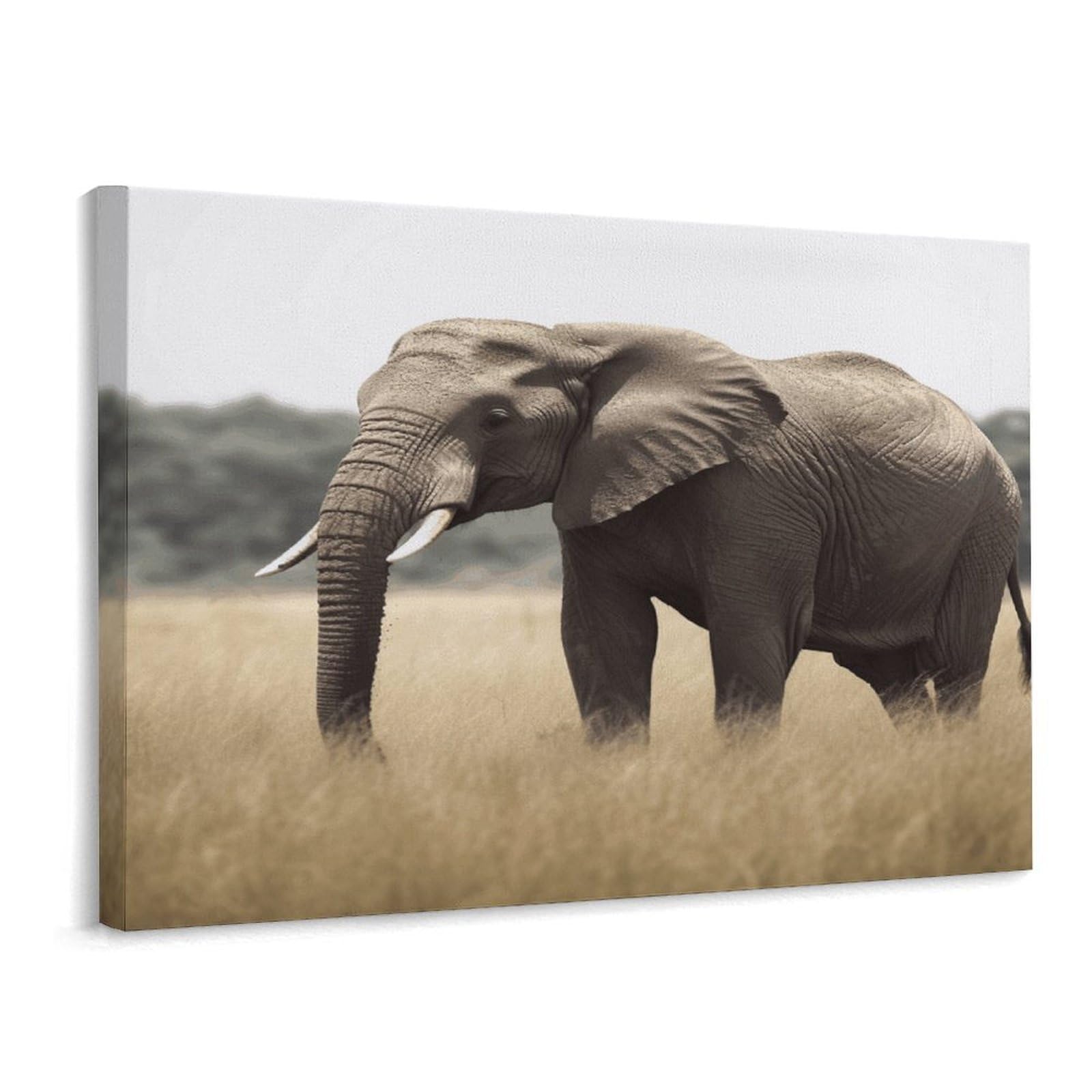 Fodpand Frame-Style Elephant Bathroom Wall Art Canvas Prints, Artwork For Walls For Living Room Hallway Stair Office Wall Decor, Pictures Home Decor 15.7X11.8 Inch