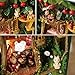 Flever Dollhouse Miniature DIY House Kit Creative Room with Furniture and Cover for Romantic Valentine's Gift(Melody of Forest)