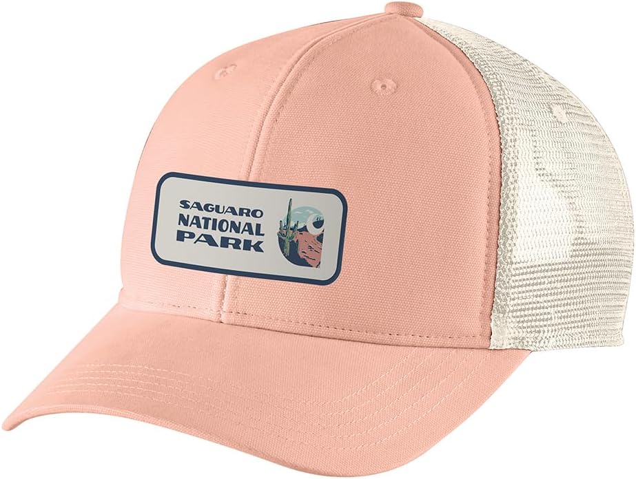 Carhartt Canvas Saguaro National Park Patch Cap