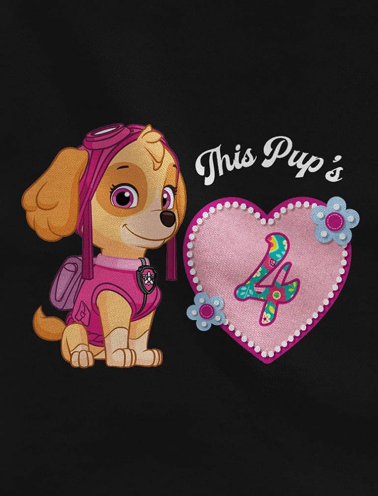 Amazon.com: Tstars Official Paw Patrol Skye 4th Birthday