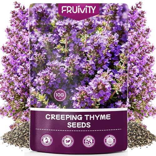 Fruivity 20000+pcs Creeping Thyme Seeds for Planting Perennial Ground Cover Plants Flowers Seeds Fragrant Herb Seeds for Lawns & Paths Garden