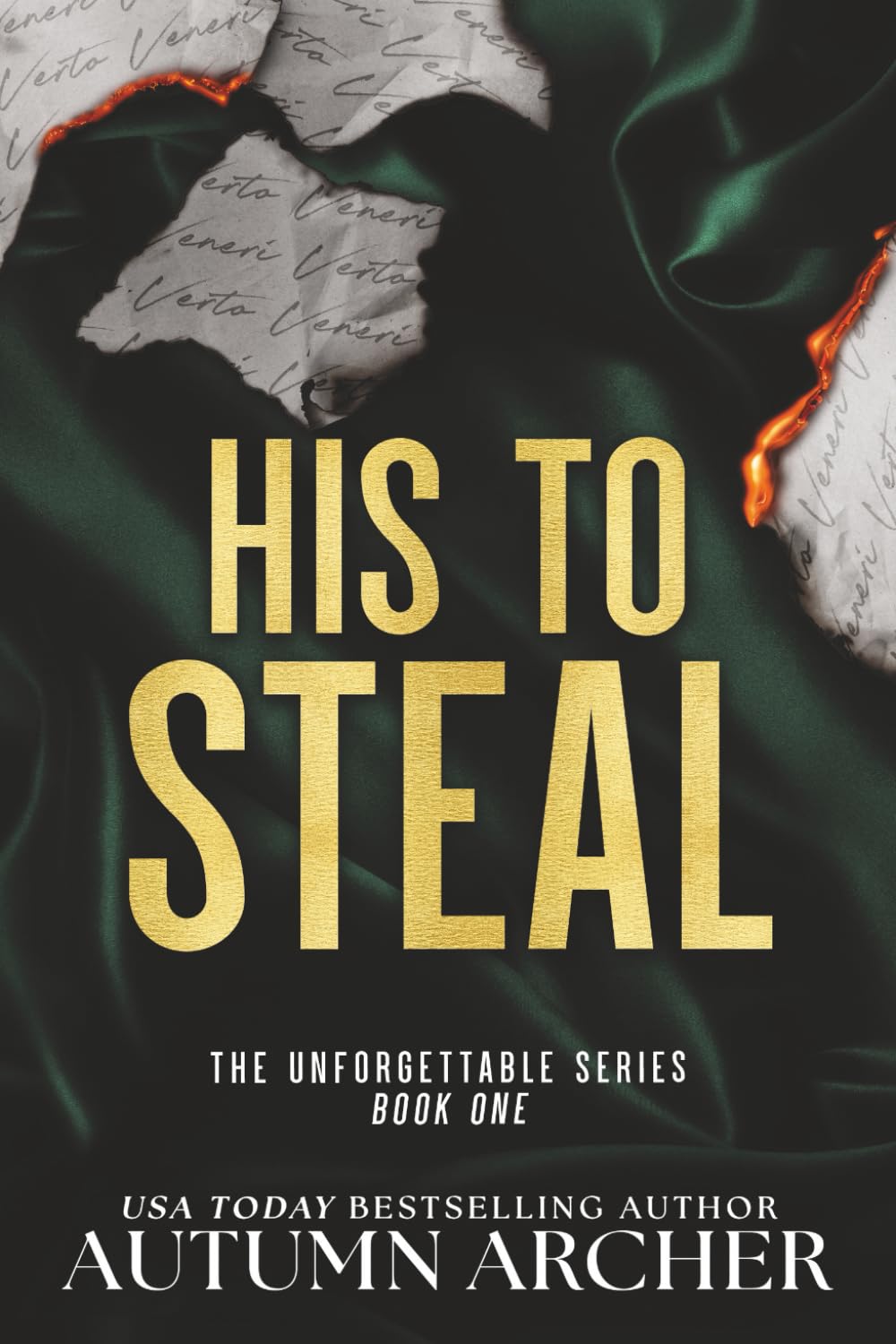 His to Steal: 1 (Discreet Cover Edition of The Unforgettable Series)