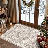 Washable Ktichen Area Rug 3x4: Indoor Runners for Bedroom Bathroom Non-Slip Soft...