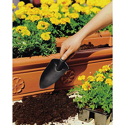 Solid Transplanter – Ansicht 2