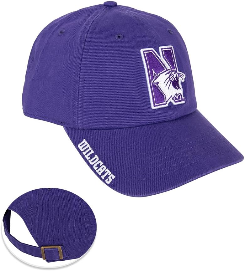 Desert Cactus Northwestern University Baseball Hat NU Wildcats Brimmed Embroidered Hats Cap Adjustable Cloth Strap Adult (Style P) Purple