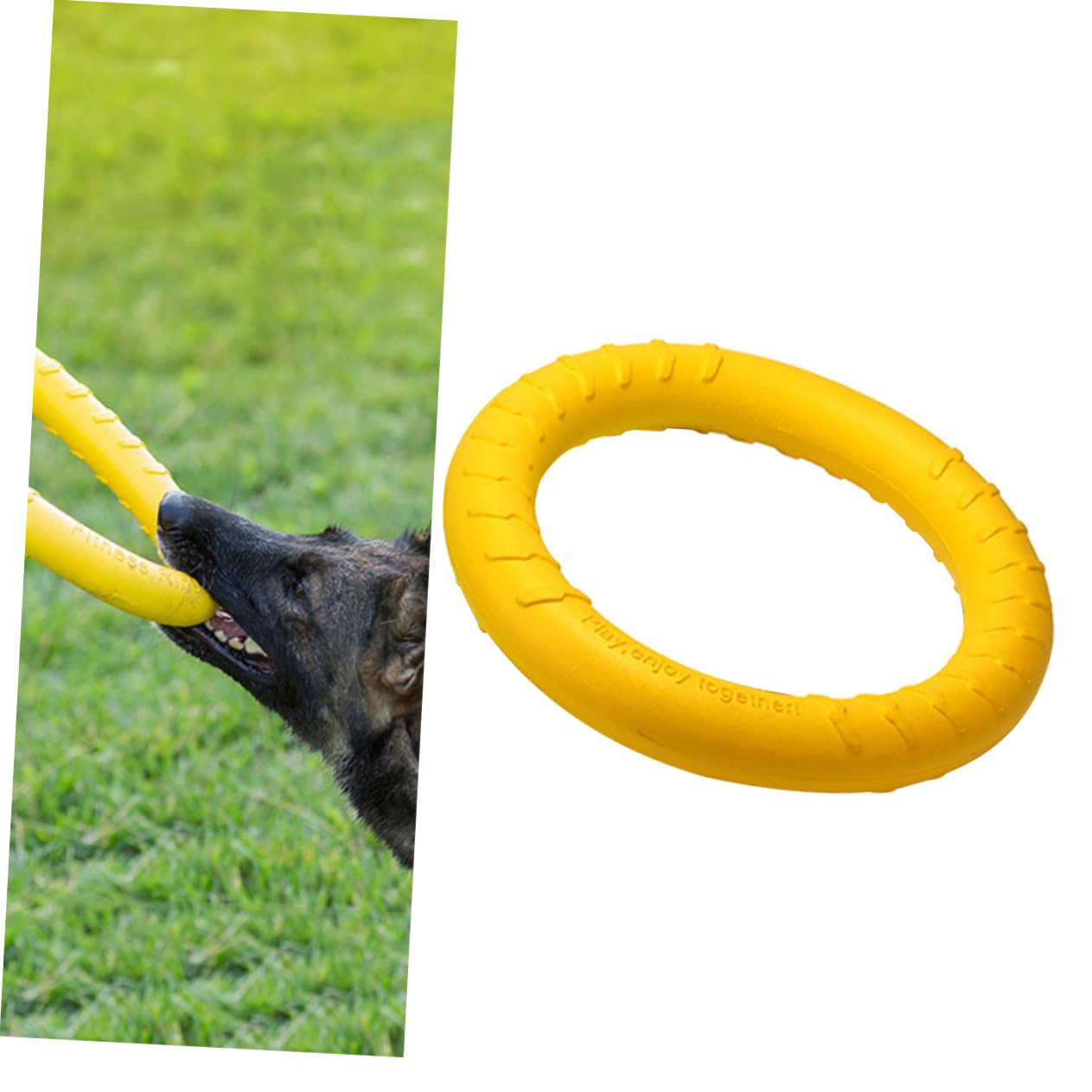 FRCOLOR 2 Uds Dogman Juguetes Juguetes para Mascotas Juguetes para Masticar Perro Anillo para Mascotas Juguete Eva Perro Masticar Juguete Mordedura De Perro Juguetes Perro Cuidado Dental