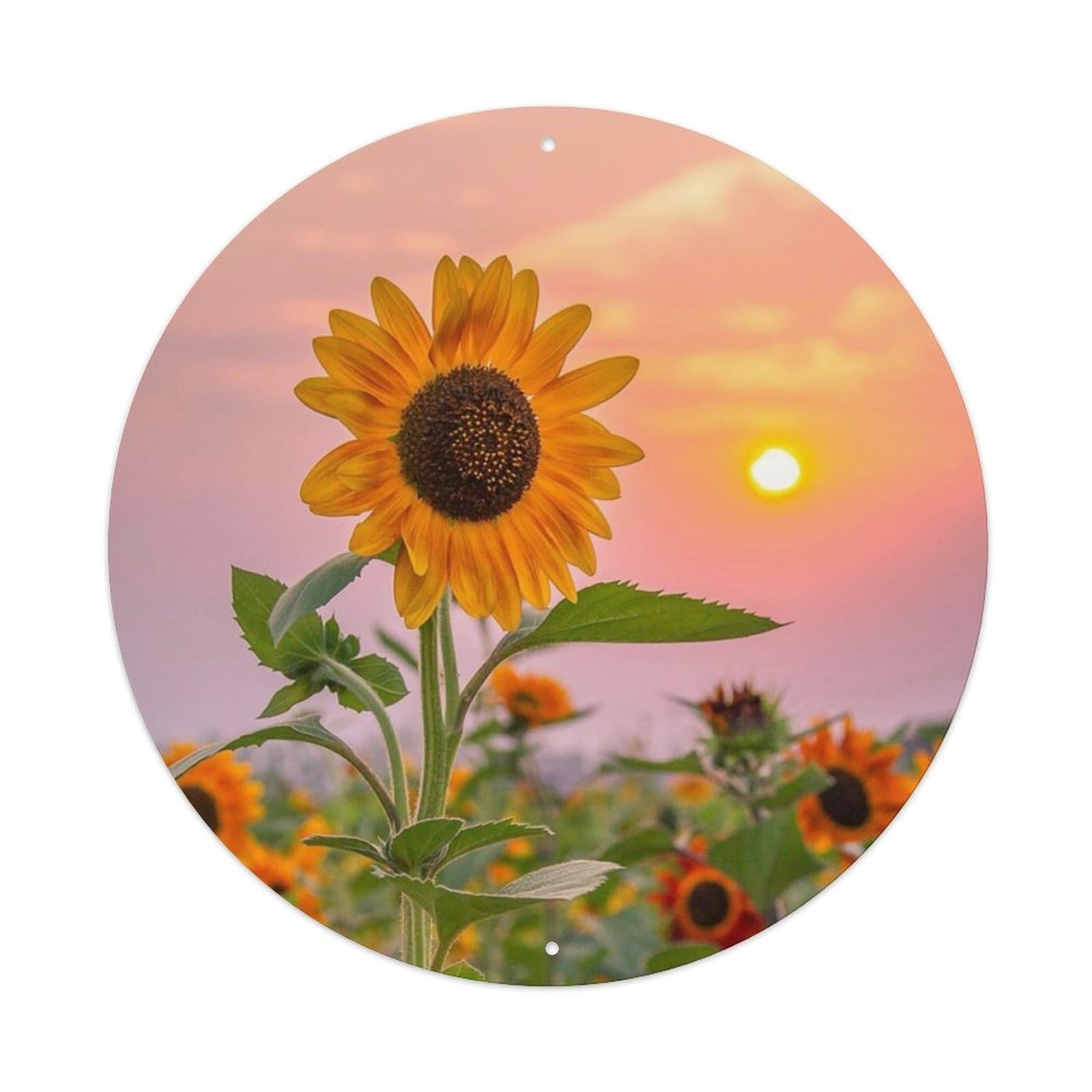 Sunset Sunflower Botanical Landscape Vintage Metal Tin Sign