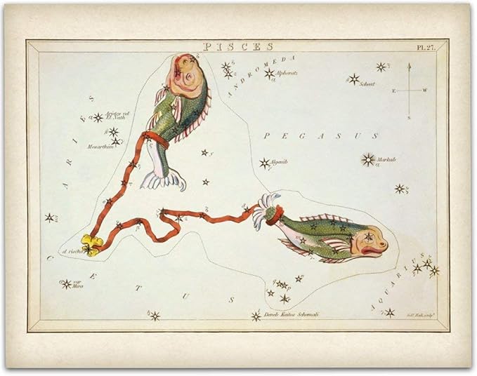 Astrology Posters - Pisces Zodiac Antique Constellation Poster - 11x14 Unframed Art Print - Great Vintage Zodiac Poster, Astrology and Aptitude Vintage Home Wall Decor for Astrology Enthusiasts