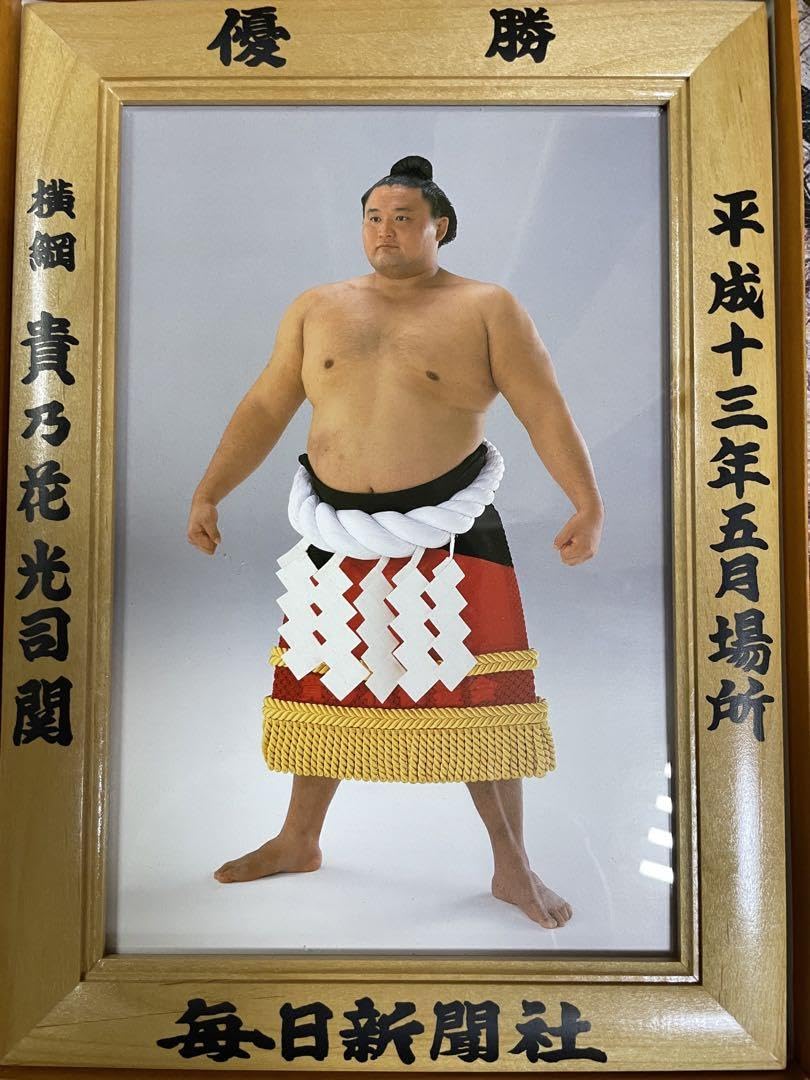 Amazon.co.jp: レア大相撲優勝額 横綱貴乃花 平成13年5月場所 : おもちゃ
