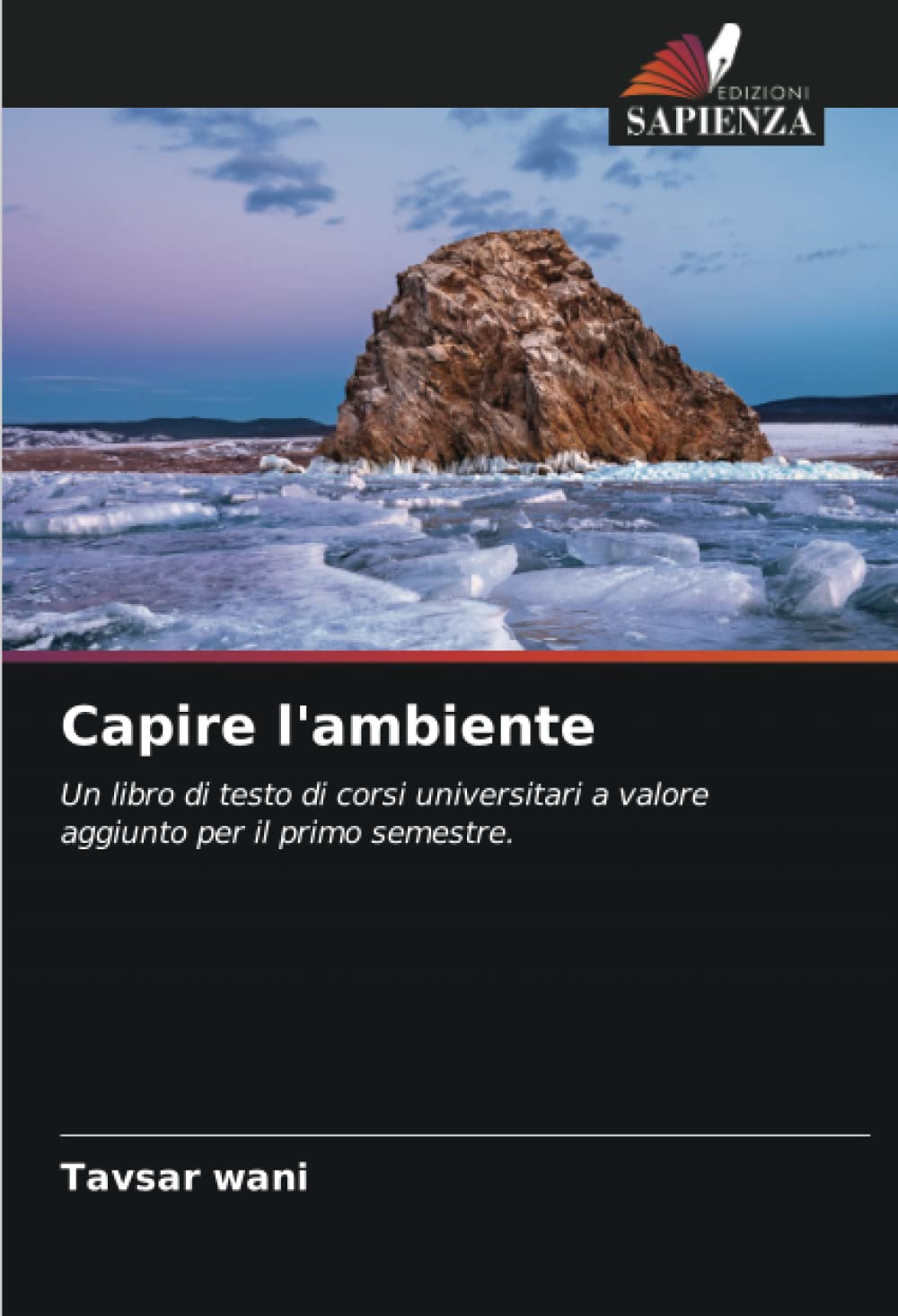 Capire l'ambiente: Un libro di testo di corsi universitari a valore aggiunto per il primo semestre.