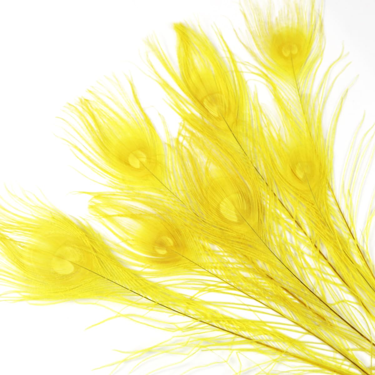 12PCS Yellow Peacock Eye Feathers10-12 inch(25-30 cm) for DIY Craft, Wedding Holiday Christmas Decoration