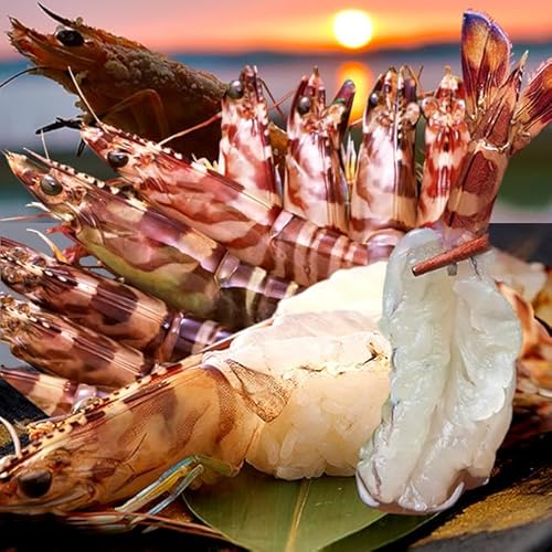 �ԊC�V ����3L�y���Y�Ⓚ�z500g�i8�`11���j�� �Ԃ��� �F�{���V���Y �ۘa�� �ԃG�r �}���Ⓚ �{�B�꒼�� �h�g �V�N �N���}�G�r