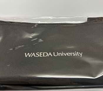 早稲田大学 グッズ パソコンケース 61HOEmEnTaL._UF350,350_QL50_.jpg