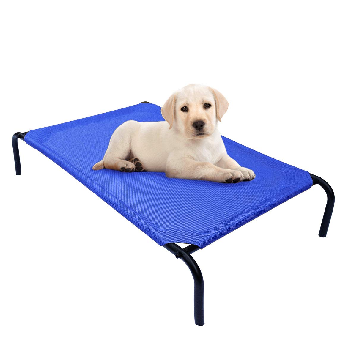 PHYEX Raised Pet Cot for Small Pets Elevated Dog Bed with Breathable Mesh Sturdy Steel Frame for Indoor