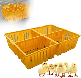 Poultry Carrier Crate - Stackable Plastic Transport Cage with 4 Grid Partitions for Safe Chicken and Chick Transport