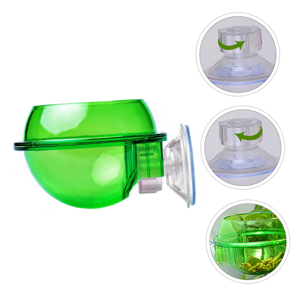 Ipetboom 8pezzi Ciotola per Rettili con Ventosa da Alimentatore Parete per Lucertole e Rettili Design Superficie Liscia e Resistente per Tartarughe e Piccoli Animali Domestici