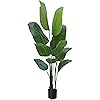 Product Photo 2