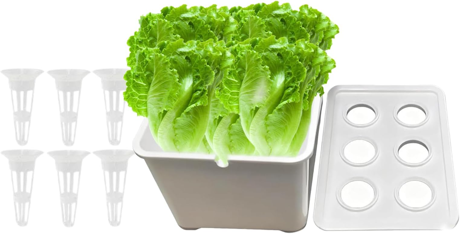 Hydroponics Growing System - 6-Holes Hydroponic Box Kit,Vegetables Planting Box | for Vegetables Flowers Fruits Indoor Outdoor Garden Greenhouse Farm Backyard Windowsill Balcony