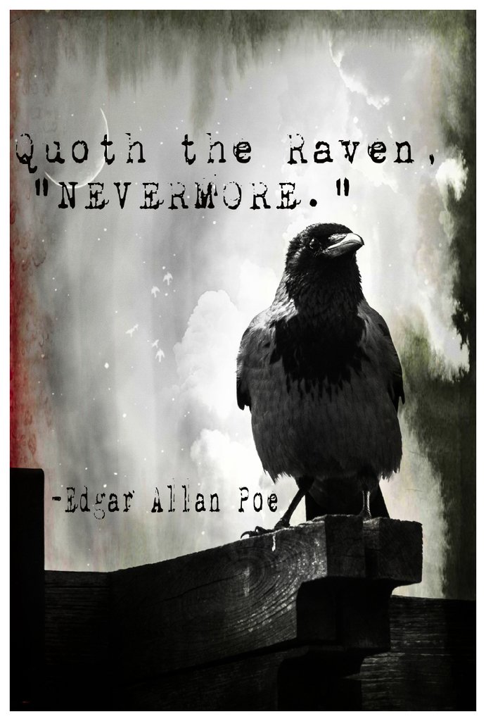 MR.CI Edgar Allan Poe Quoth The Raven Nevermore Poster Wall Print