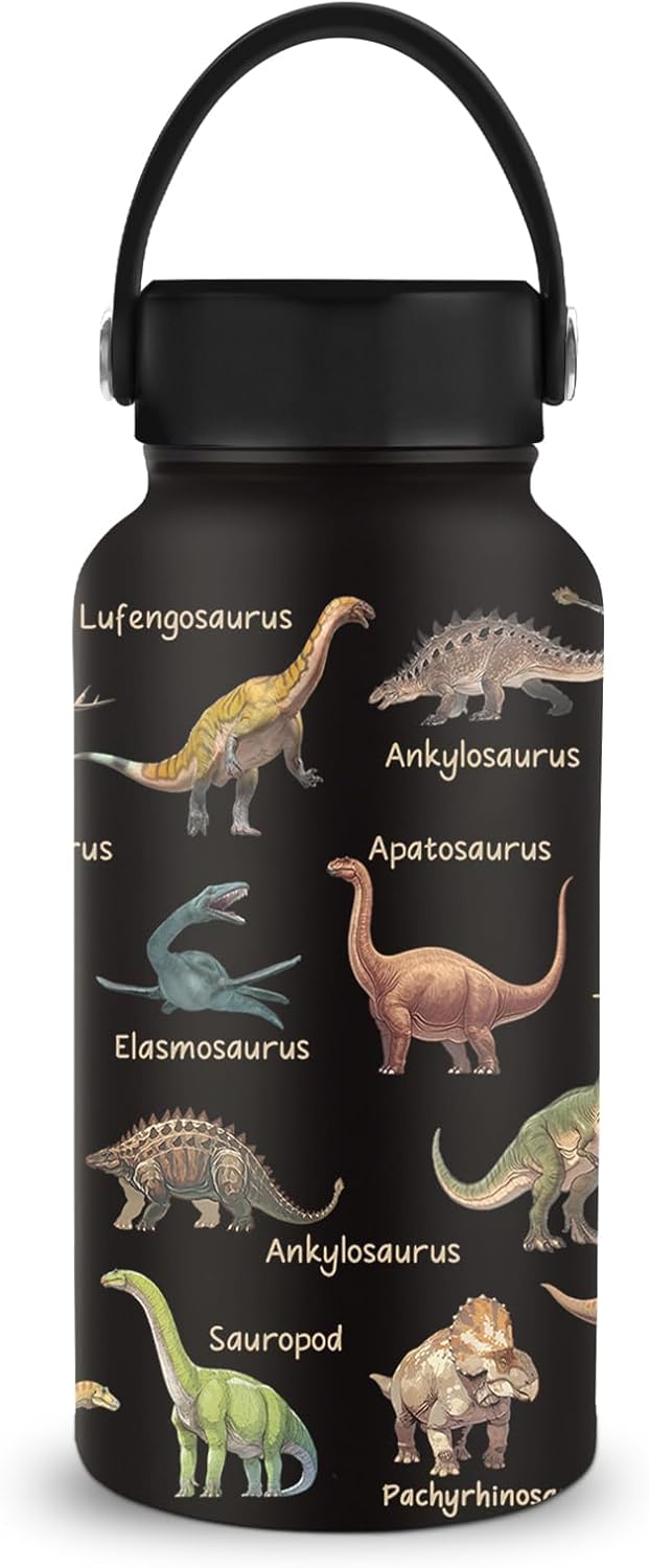 Dinosaur Gifts, 25 oz Stainless Steel Water Bottles with 2 Lids, Insulated Water Bottle with Straw, Dinosaur Cups for Travel Sports Outdoor, Birthday Gifts for Boys Dino Lovers
