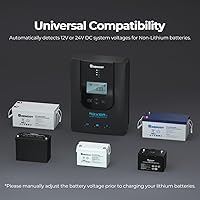 Vista 6 de Controlador de carga solar Renogy (Bluetooth) - Rover 40A 12V24V Controladores de carga MPPT de entrada DC con parámetro automático para paneles