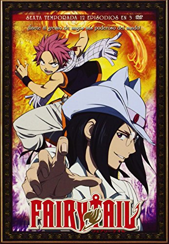 Fairy Tail T6 (3) [DVD]