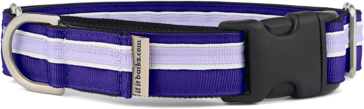 If It Barks 1" Martingale Collar with Quick Snap Release Buckle, Adjustable, USA Made, Medium, Grape Crush