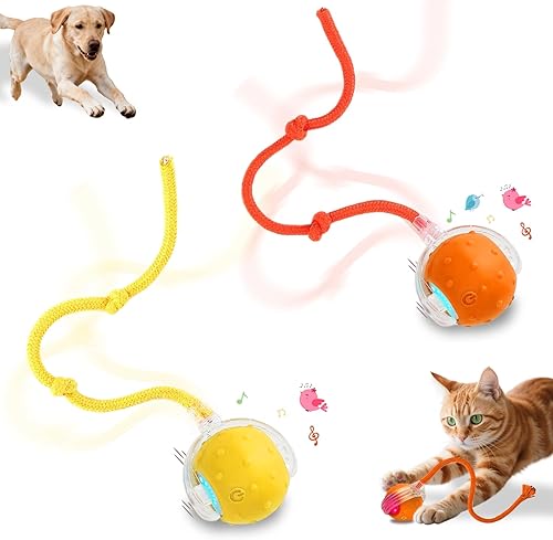 Juguete interactivo inteligente para gatos y perros, persecución automática de 360, con sonidos de pájaros y activación de movimiento, diseñado para