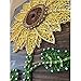 String of the Art Sunflower String Art Kit, American Made DIY Craft Kit for Adults, Stained Pine Wood (16