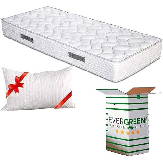 EVERGREENWEB Matelas 75x190 cm Mousse Anatomique - Épaisseur 20 cm - Mousse H.R - Système Triple Couche - 7 Zones de Confort - Indépendance de Couchage, Ergonomique Hypoallergénique | Fashion