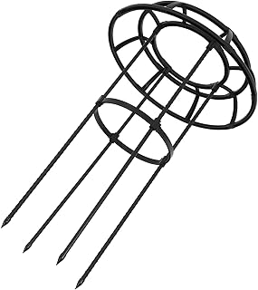 Adjustable Iron Plant Trellis for Climbing Roses, Modular Garden Vine Cl...