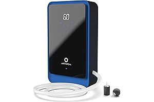 Airthereal AH1000 Portable Ozone Generator for Water Purification