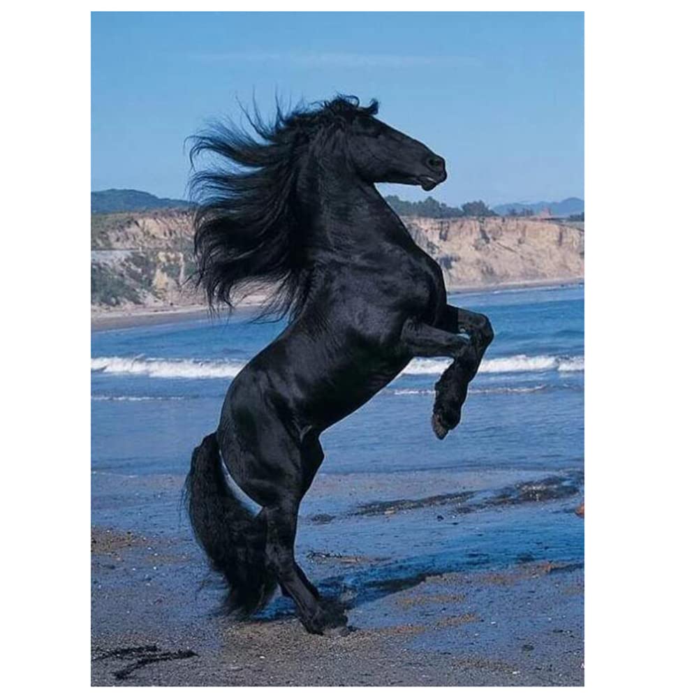 5D Diamond Painting Wildes Pferd 50x70cm - Kreatives DIY Set Für Erwachsene