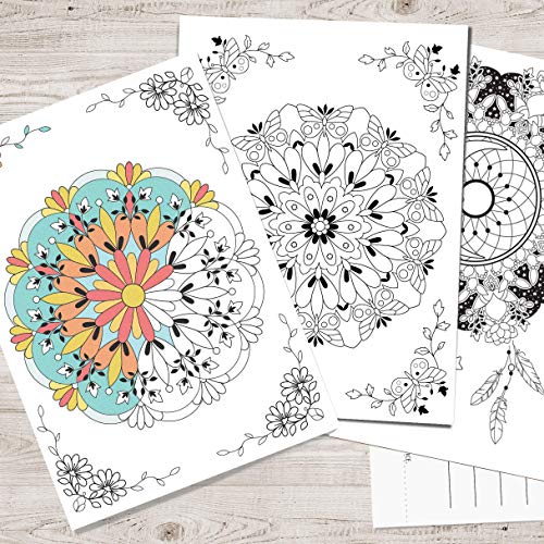 Product Image of the 8 count | Mandala Coloring Postcards | Art Therapy | 8 unique Designs | Flower Mandala Art | Adult Coloring | Thank you cards | Birthday cards | Creativity and Relaxation