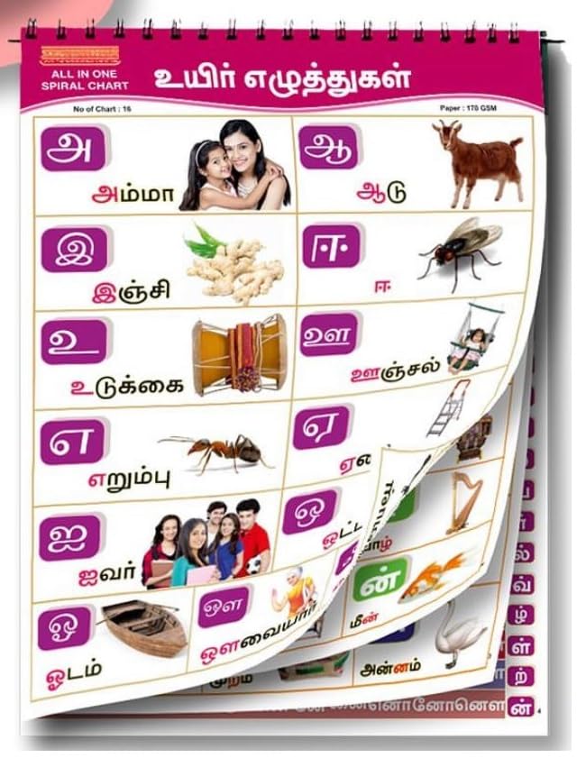 Tamil Educational Chart | 16 Subjects | 37x48 CM | 16 Pages Front & Back | Kids Age 2+ | Tamil Alphabet, Numbers, Fruits, Animals, vegetables, Birds and many more
