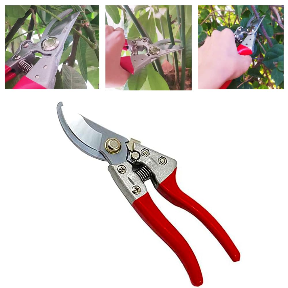 Forbici da Giardino Professionali, Cesoie da Potatura Giardinaggio 18cm
