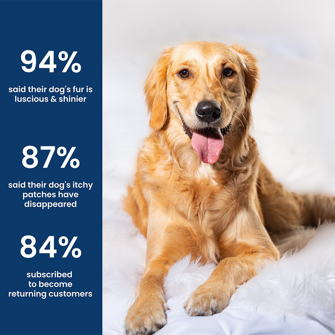 Absolut Pet Skin & Coat Dog Chews, Omega Biotin, Less Shedding | 30 Chews 3