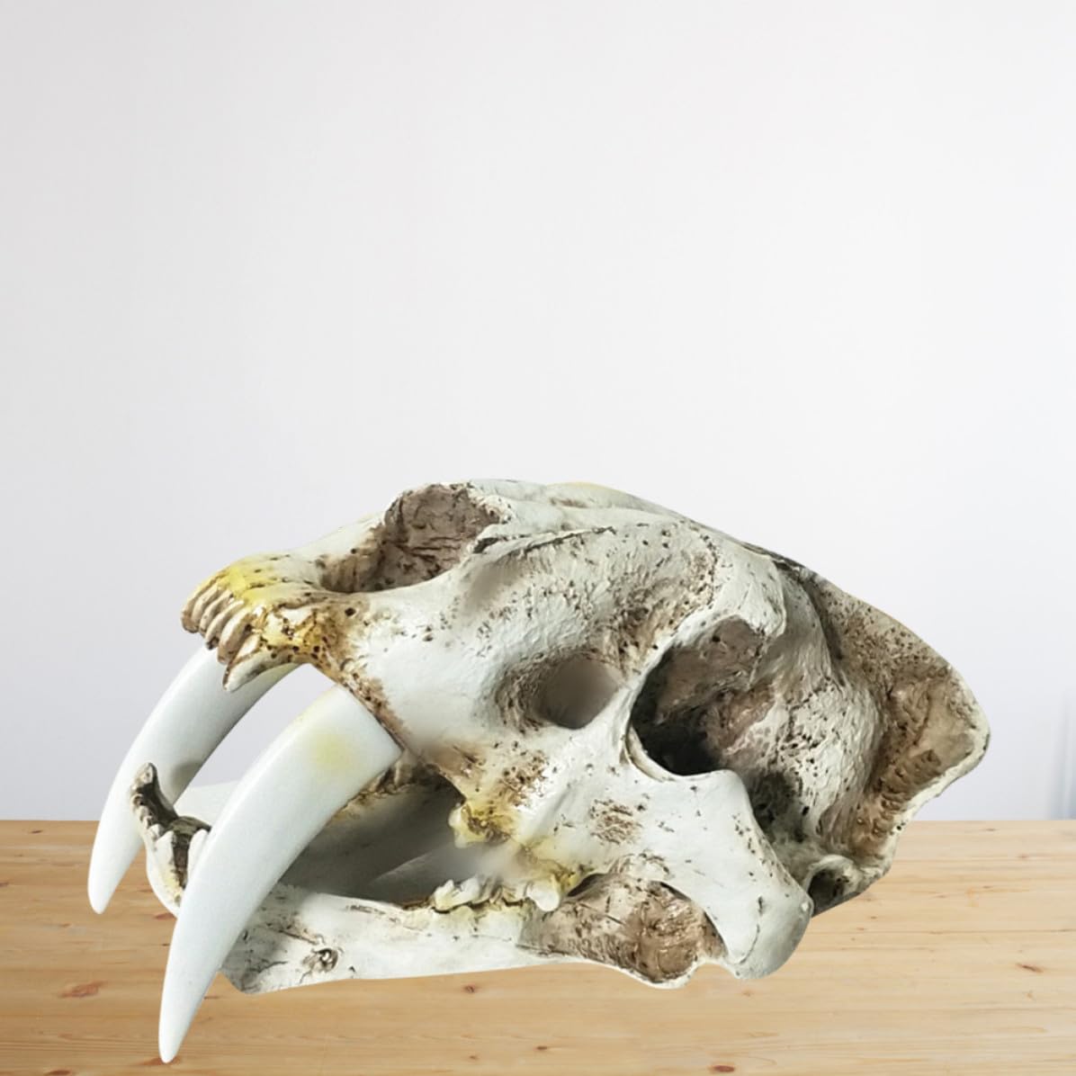 Säbelzahntiger Totenkopf Ornamente aus Kunstharz, Halloween Geschenkideen