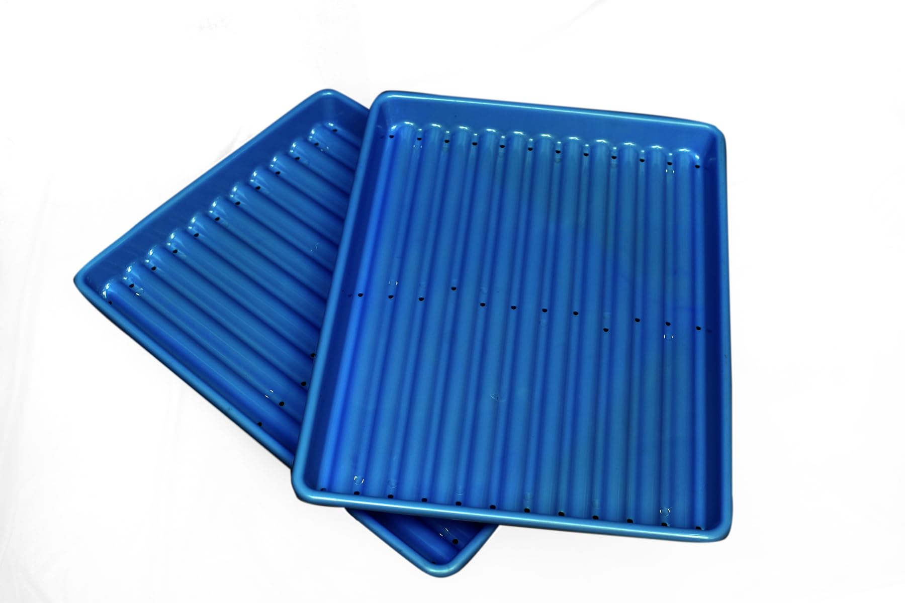 Hydroponic Virgin Unbreakable Plastic Tray for Germination of Animal Green Fodder Maize Wheatgrass and Micro Green Vegetables Blue Colour 24 X 18 Inch -Set of 2 Pieces-image-34