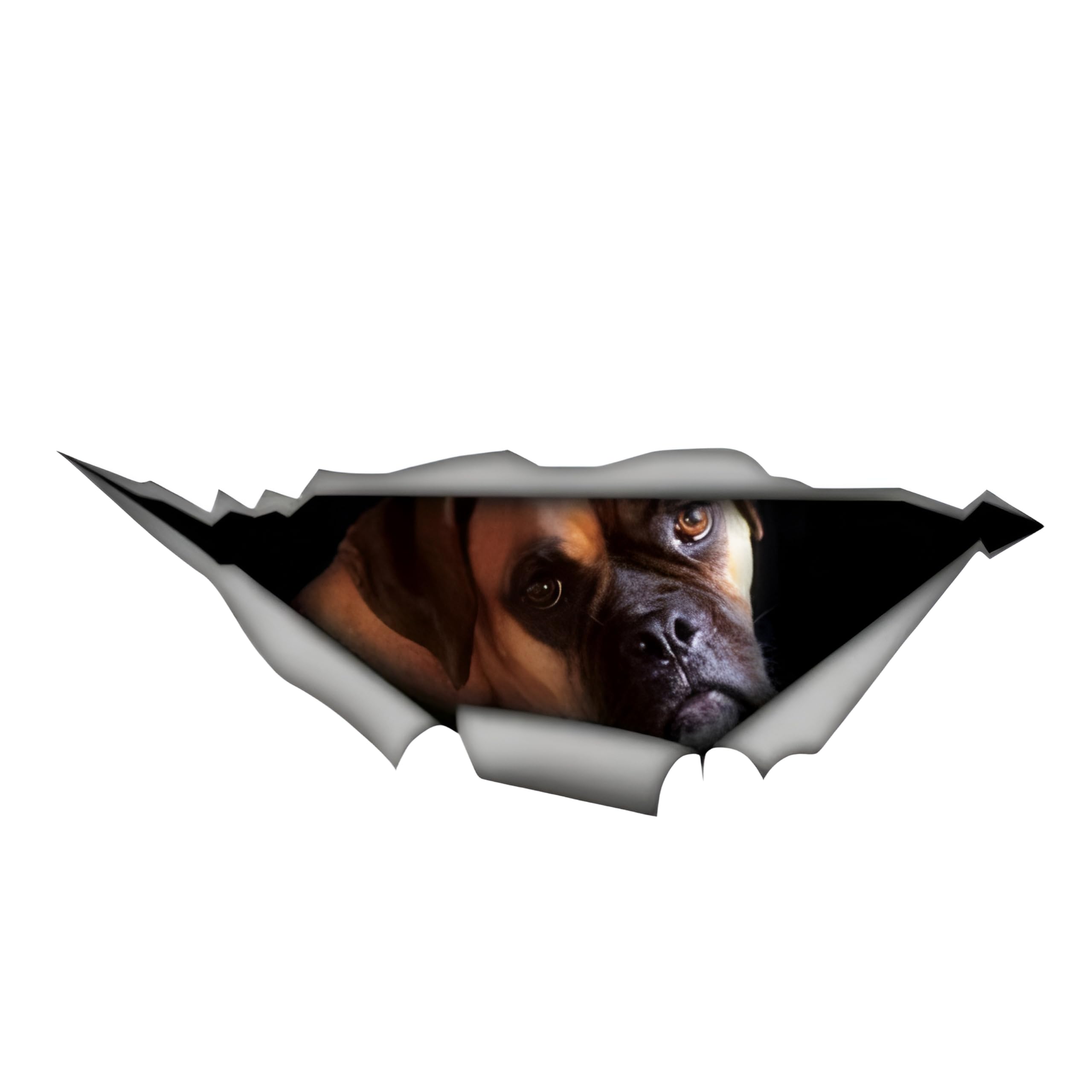 Adesivi per auto per cani, Adesivi per animali domestici Adesivi per auto 3D, Adesivi per cani fai da te Decorazione per paraurti per bagagliaio di un'auto Adesivi per lo styling dell'auto