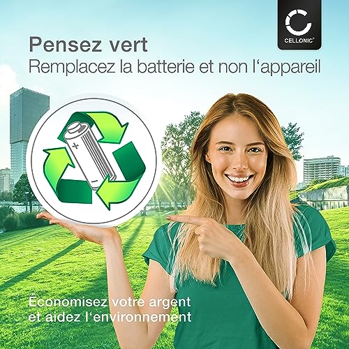 Batterie Pure ChargePAK E1 CELLONIC 8800mAh pour One Flow