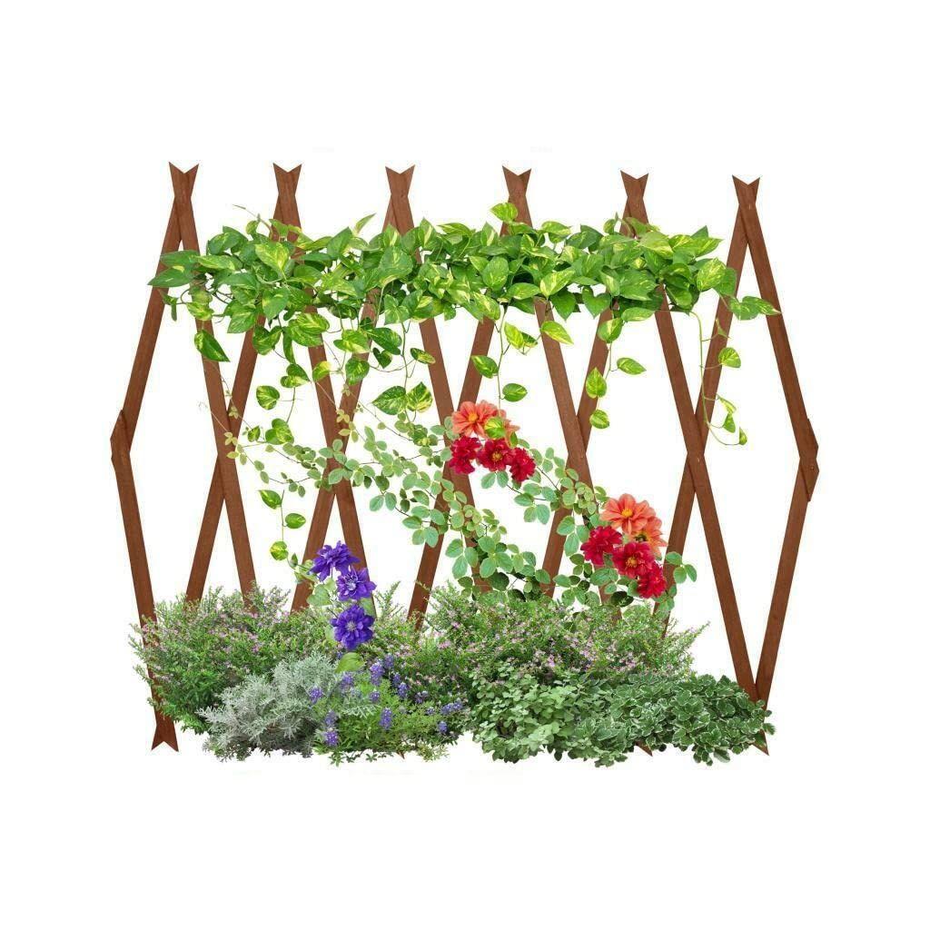 Expanding 6ft Wooden Trellis Climbing Plants Fence Panel Screening Lattice UK (Brown 180 x 90cm)